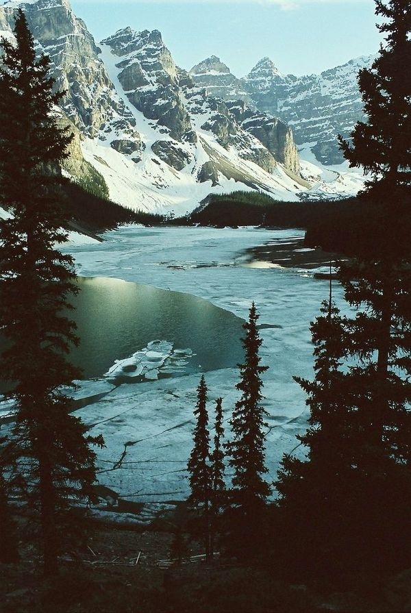 Moraine Lake, Canada #lake #canada #mountains #moraine