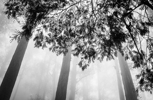 Photography by Daniel Dahlmann #inspiration #photography