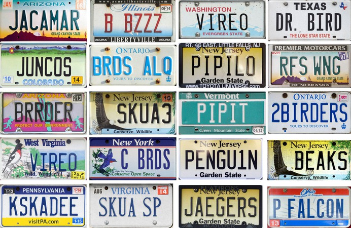 license plate - Google Search
