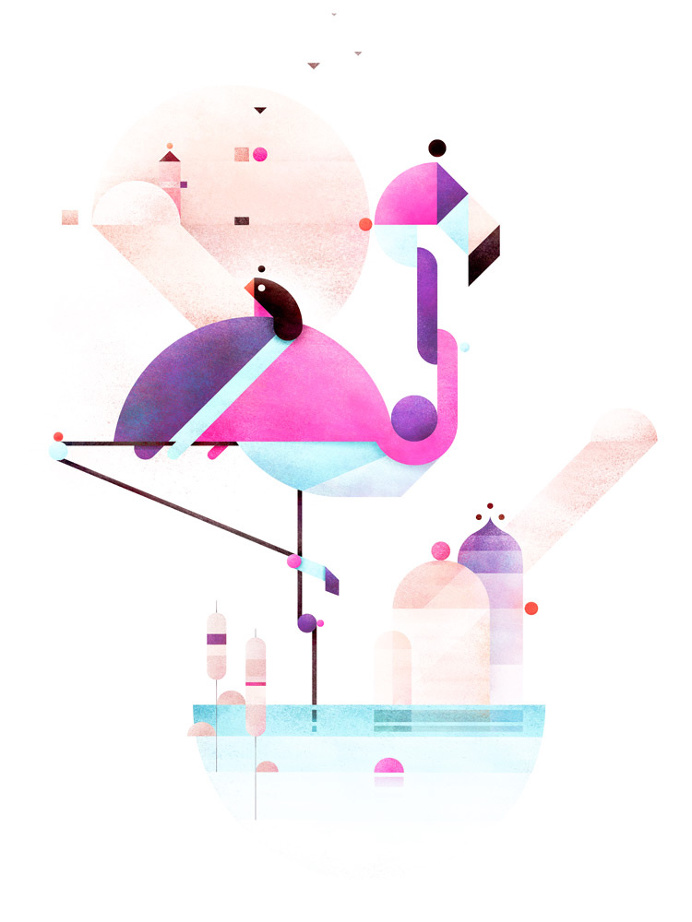 Flamingo