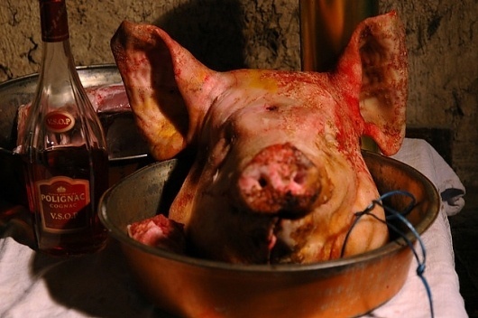 Hog's Head | Flickr - Photo Sharing! #head #pig #hog #photography #table