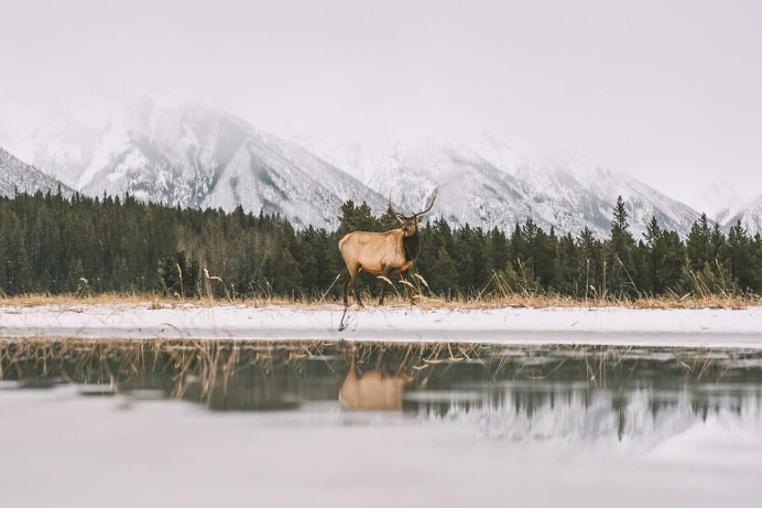 The Beauty of Canadian Nature by Morgan Phillips