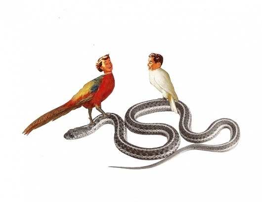 Dan+Bina,+Temptations,+collage,+2010.jpg (JPEG Image, 720x556 pixels) #bina #dan #bird #people #birds #snake #vintage #art #collage