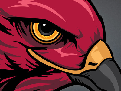 Eye Of The Hawk #hawk