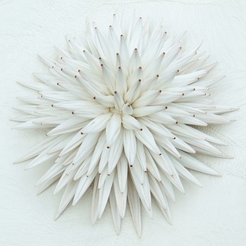 On Display #flower