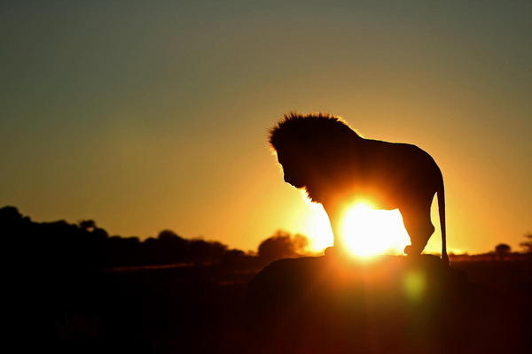 A new day begins #day #new