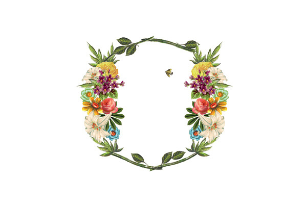 Flor on the Behance Network #font #identity #typography