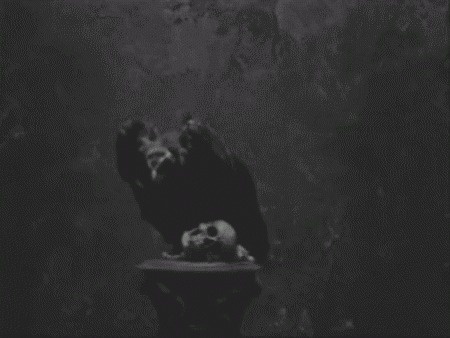 Jonas Eriksson » Every Reason to Panic #death