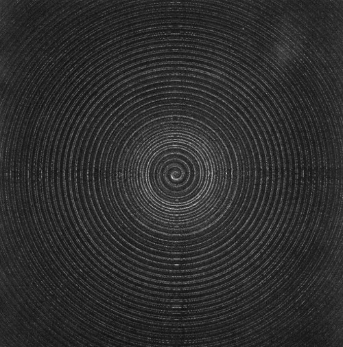 Jonas Eriksson » Every Reason to Panic #rings #pattern #texture #photography #shape