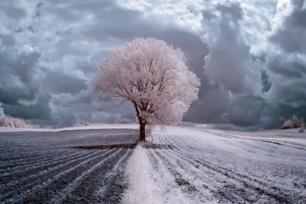 Landscape Photography by Przemysxc5x82aw Kruk #inspiration #photography #landscape
