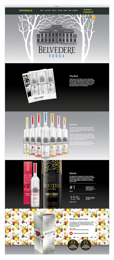 Francesco Vetica | Designer | BrandOpus #portfolio #case #web #studies