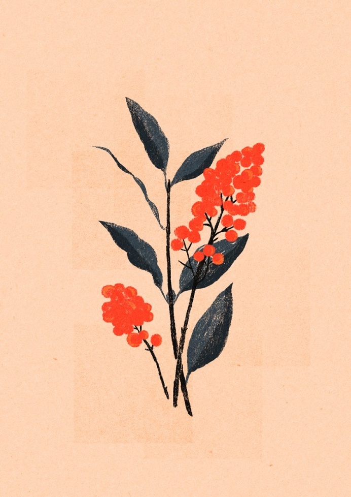 #illustration