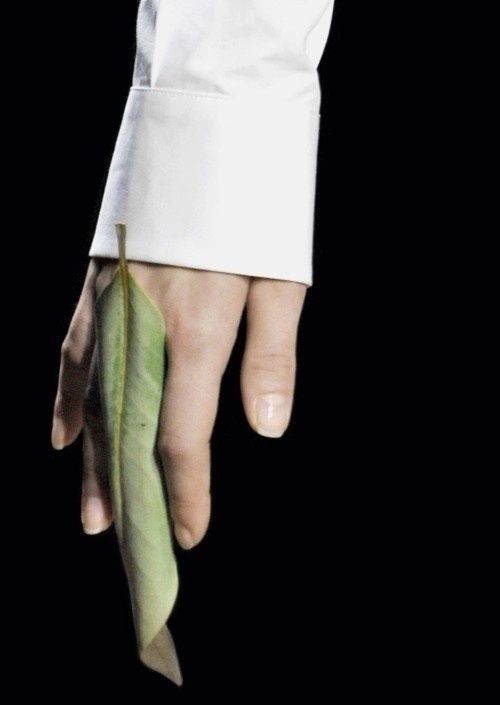 ring, leaf #fashion #photo #ring #leaf