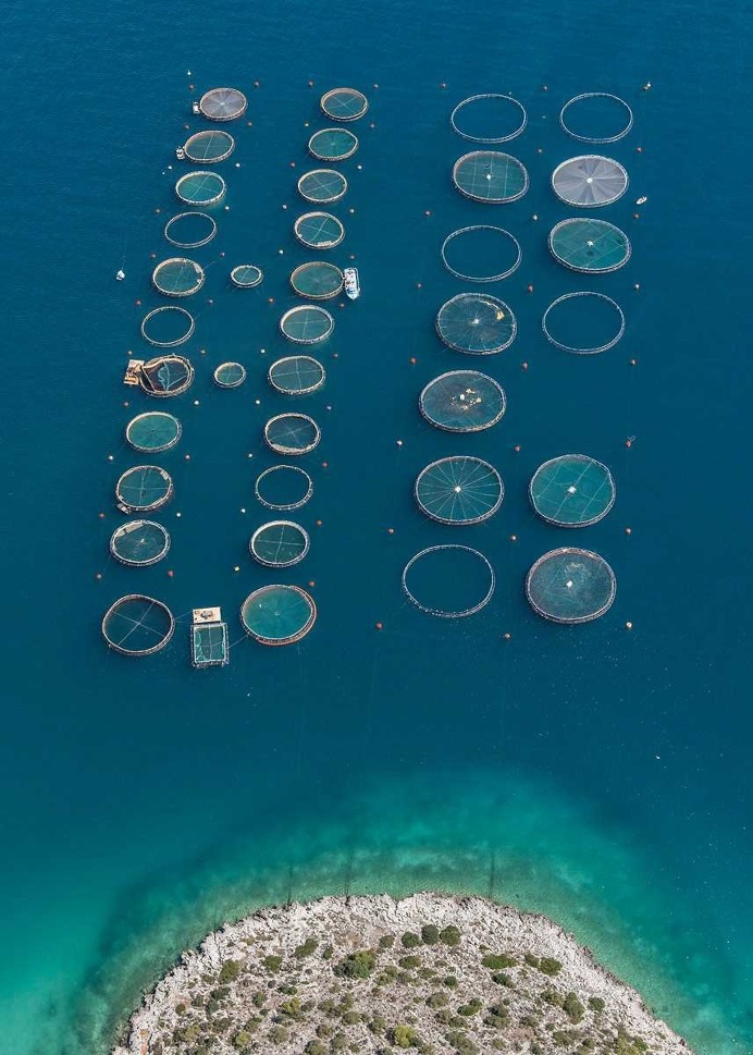 Fish Farms: Intensive Mass Fish Farming in Greece by Bernhard Lang