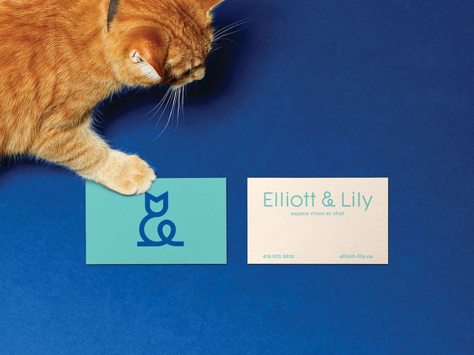 Agency lg2 created the brand identity of a business that specialises in pet adoption and sells products for cats and dogs. As a proud partner of SPA de Québec, this next-gen pet store offers a vision of adoption that is both tender and playful. For more of the most beautiful designs visit mindsparklemag.com