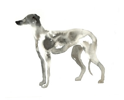 Make Mistakes. #watercolour #whippet #painting #dog