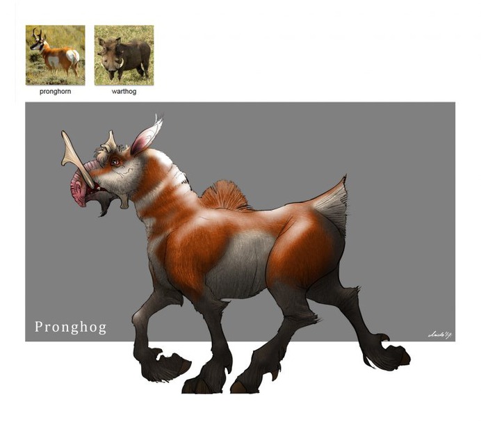 Random Animal Generator