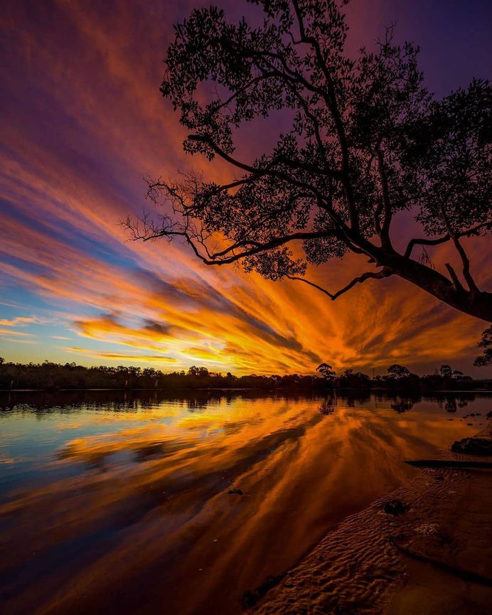 Damian McCudden