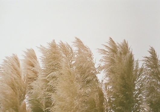 one : Aimee Brodeur #photography