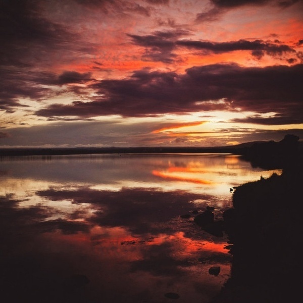 Photography by Julia Trotti #inspiration #photography