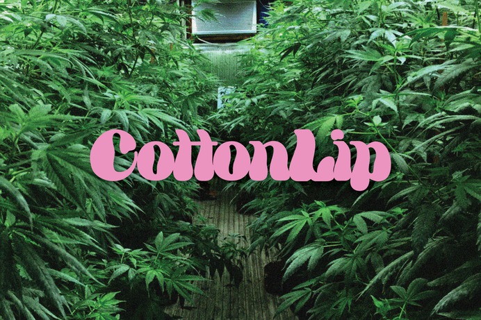 Joshua_Lepley_Design_NYC_CottonLip_CS12.png