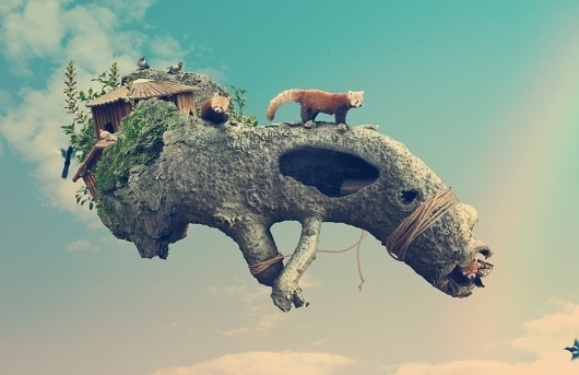 Zooo : Rafa Zubiria #photomontage #rafa zubira