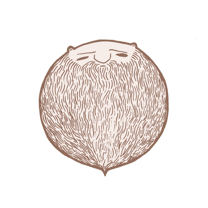 What do I do now that Movember's over? www.anditisgood.com #beard #design #movember #hair #illustration #art #moustache