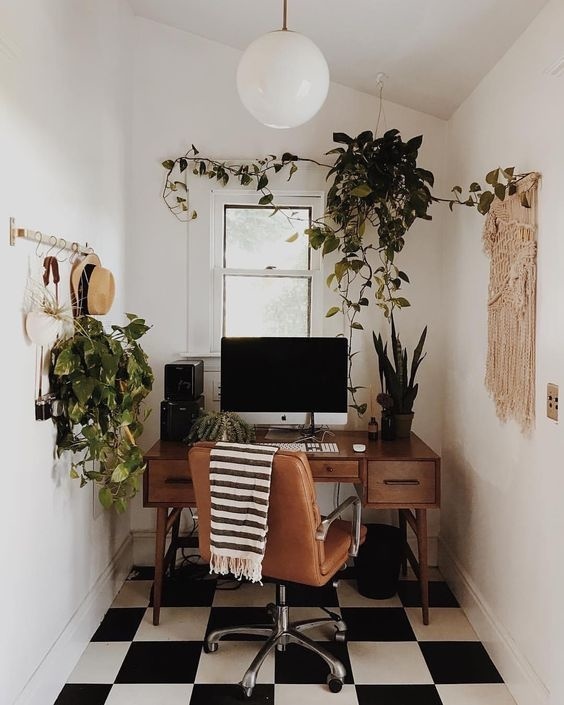 DAILY VISUAL OVERDOSE