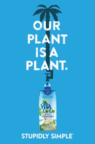 Vita Coco coconut water's latest ad campaign: Stupidly Simple. "Our plant is a plant" ads can be found in major cities through the summer months. (Graphic: Business Wire)