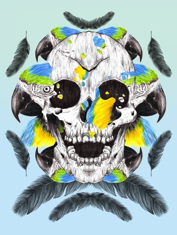 Parrot and Skull #skull #parrot
