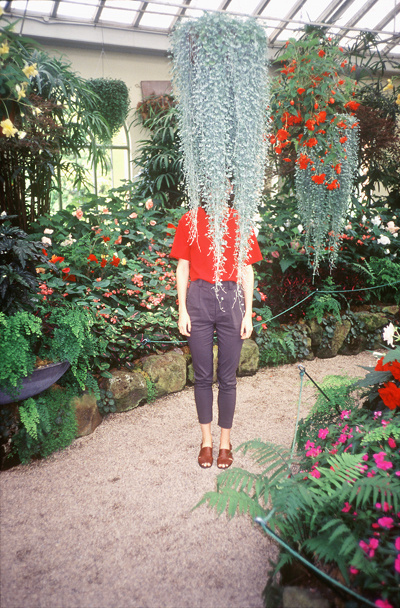 plants