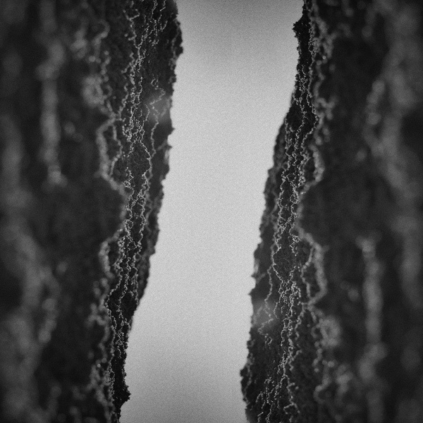 The Canyon #palegrain #image #landscape #photography #sand #mirrored #canyon