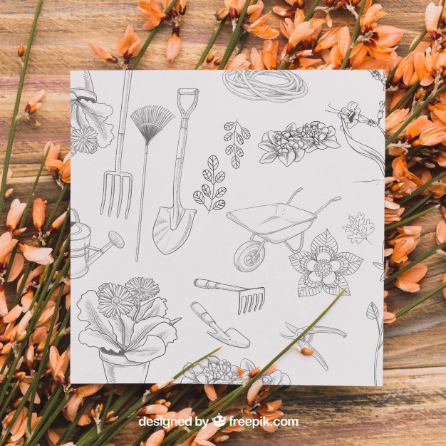 Garden concept with paper Free Psd. See more inspiration related to Flower, Mockup, Floral, Invitation, Party, Card, Flowers, Template, Paper, Nature, Invitation card, Spring, Leaves, Celebration, Happy, Garden, Mock up, Plant, Tools, Natural, Plants, Party invitation, Celebrate, Blossom, Festive, Beautiful, Gardening, Up, Spring flowers, Greeting, Grow, Concept, Flower card, Petals, Growing, Bloom, Gardening tools, Mock, Vegetation and Blooming on Freepik.