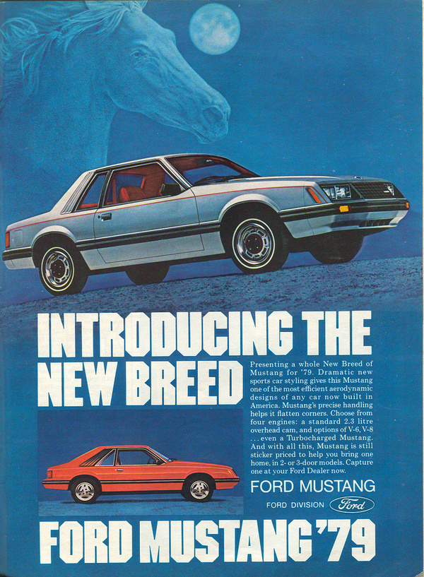 photo #breed #print #design #graphic #advertising #vintage #mustang #car