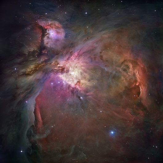Orion Nebula #stars #nebula #space #orion