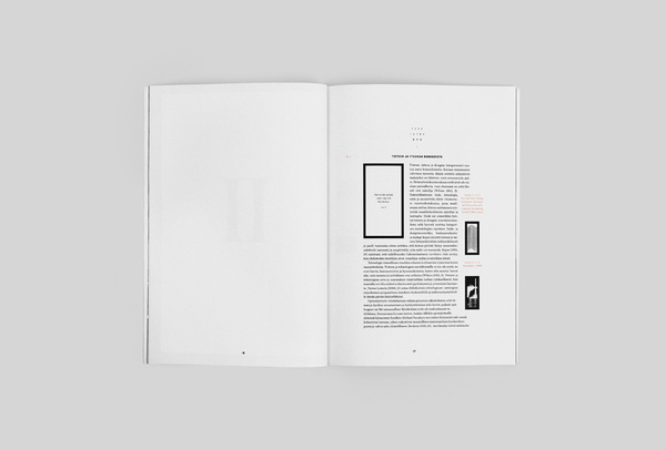 Lotta Nieminen — SI Special #print