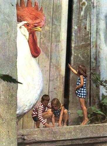 Tutte le dimensioni |Gunnel Linde - The Enchanted Forest | Flickr – Condivisione di foto! #children #animal