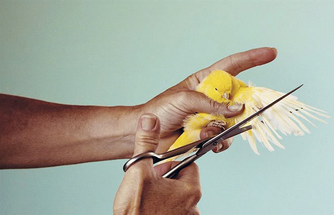 toiletpaper #magazine #fashion #photography #weird