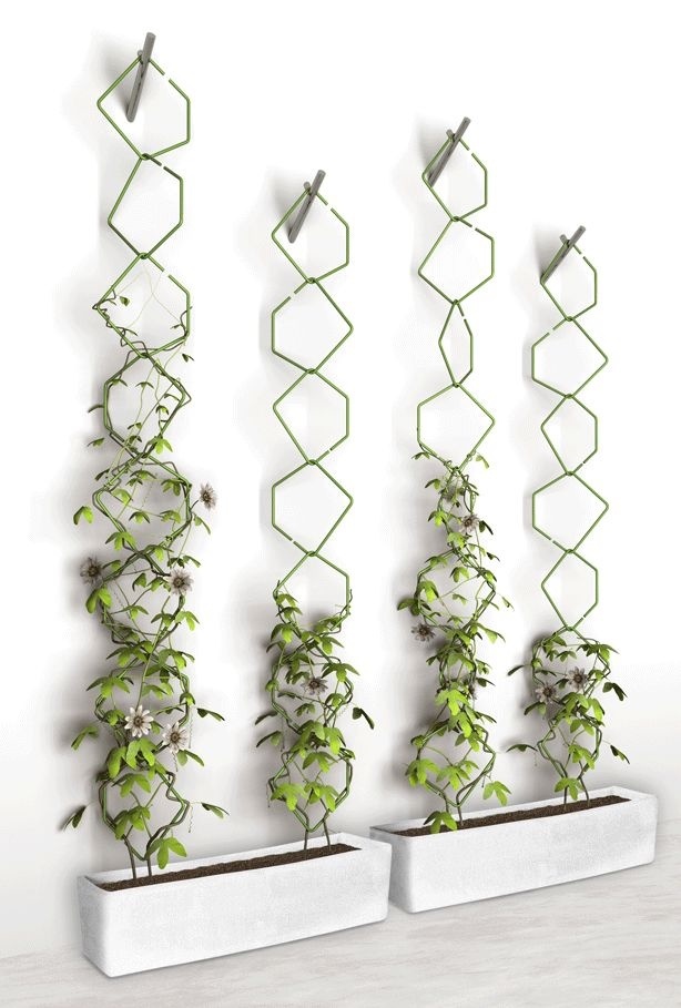urban garden