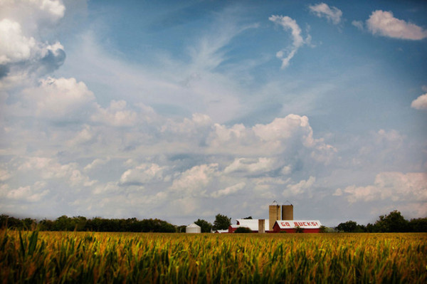 Greg Whitaker #inspiration #photography #landscape