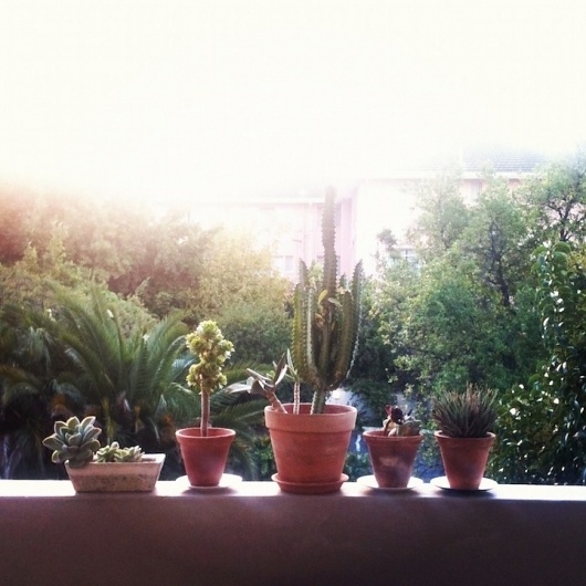 INSTA FAVS #02: Miss Moss | iGNANT