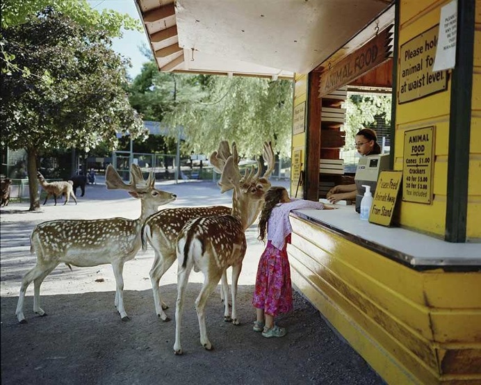 Amelia And The Animals by Robin Schwartz