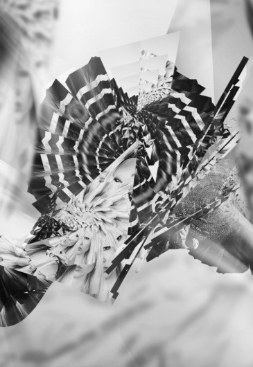 ALPHA on the Behance Network #photo #design #alpha #illustration #manipulation #art #mixed #media