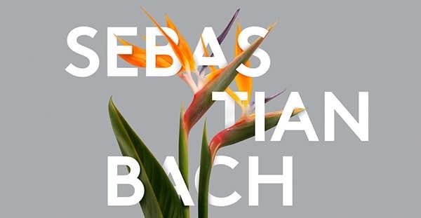 Pentatone Remastered Classics on Behance #type #flowers #typography