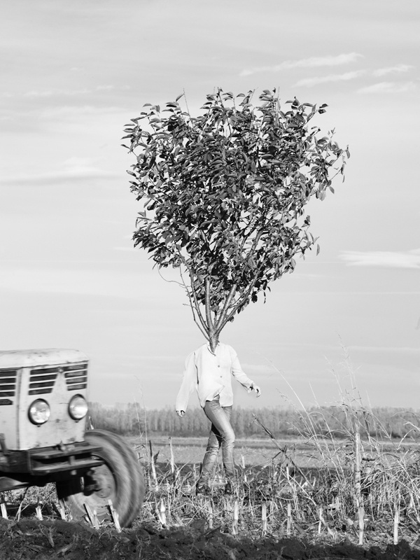 CJWHO ™ (Tree People by Marko Prelic Surreal portraits of...) #design #landscape #photography #art #surreal