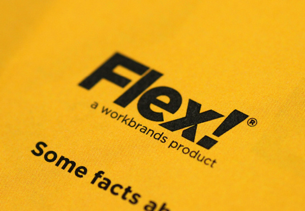 FLEX!® Take control of your brand on Behance #iconset #branding #icon #print #icons #identity #logo #flex