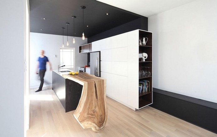 Bourdages-Cloutier Apartment in Montreal by ADHOC architectes 4