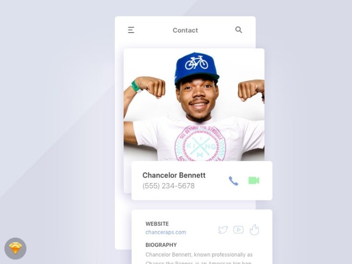 Contact Profile Screen UI
