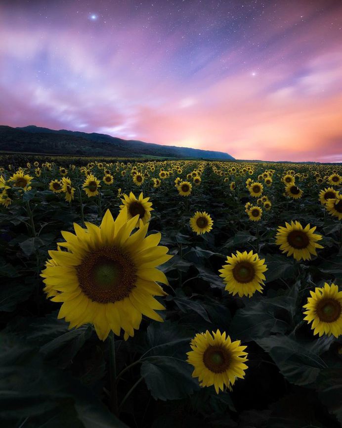Magnificent Nature Landscapes of Hawaii by Micah Roemmling
