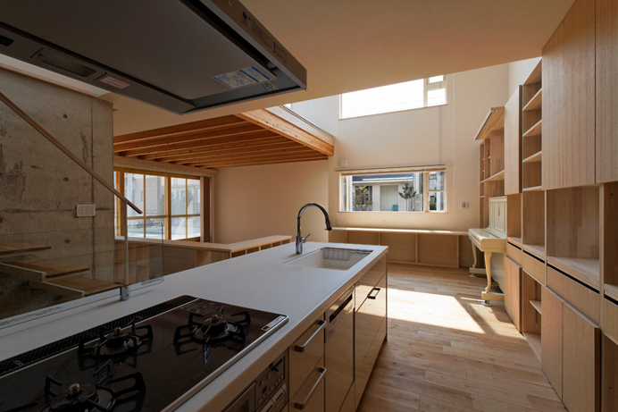 Hybrid Housing